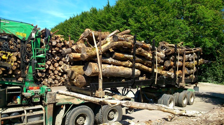 L1040-PLATEAU À BILLONS XYLOGISTIC - 21