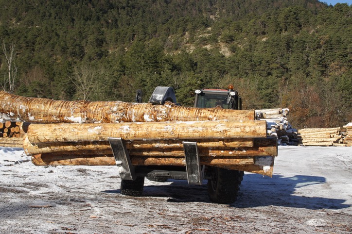 L722-D-GRIFFE BARTHALAY - 03