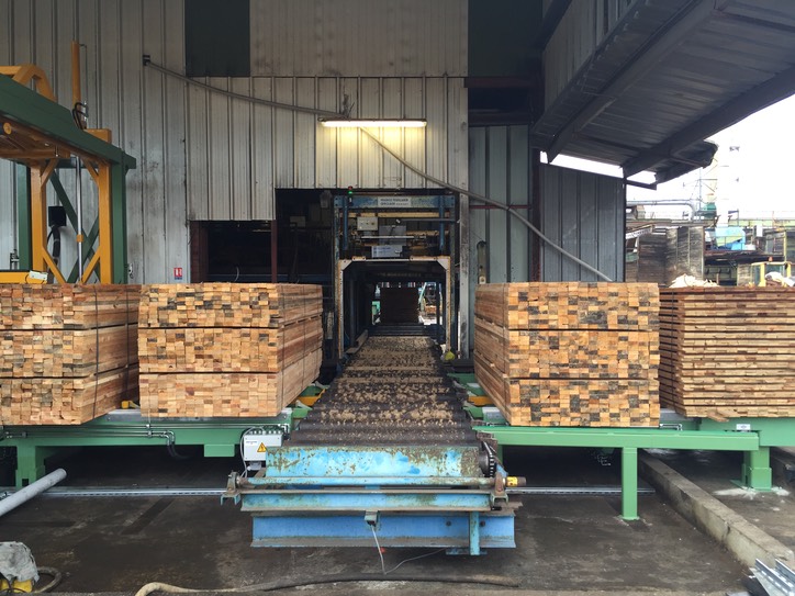 L966-B LIGNE DE TREMPAGE LESBATS SUR SITE - 134