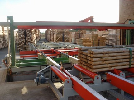 L909 LIGNE TREMPAGE PIVETEAU - 24