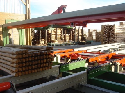 L909 LIGNE TREMPAGE PIVETEAU - 29